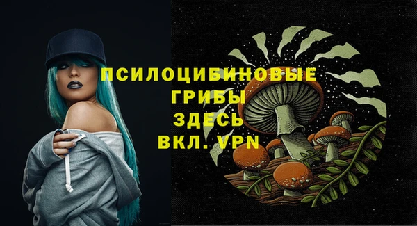 ПСИЛОЦИБИНОВЫЕ ГРИБЫ Алзамай
